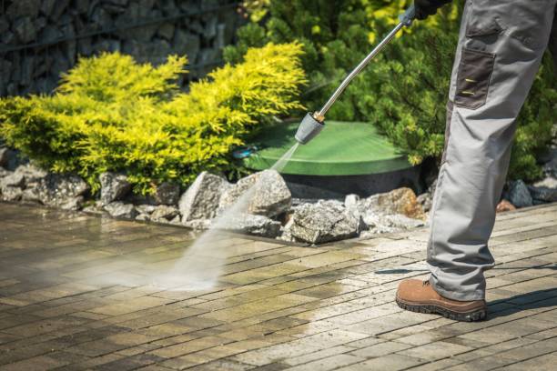 Trusted Mount Arlington, NJ Pressure Washing Services Experts