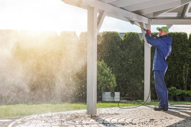 Best Animal Enclosure Cleaning  in Mount Arlington, NJ